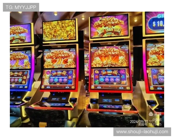 2024年最火爆的网络老虎机游戏排行榜及玩法攻略