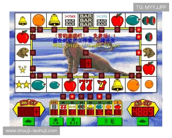 水果老虎机电脑版常见问题解答，解决玩家在游戏中遇到的各种疑问