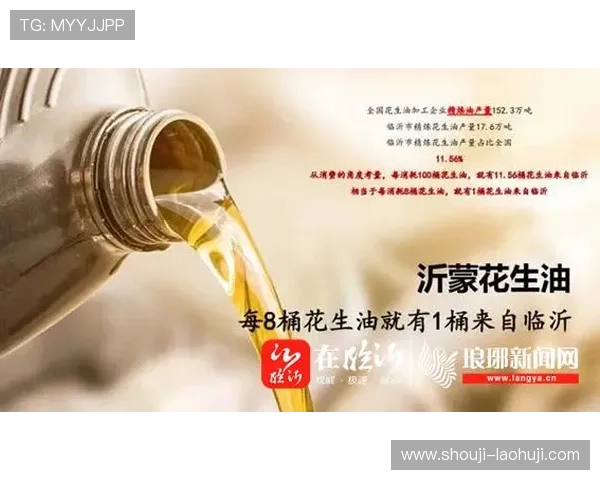 如何选择优质的GB类型游戏，提供实用的购买与试玩指南，提升你的游戏体验