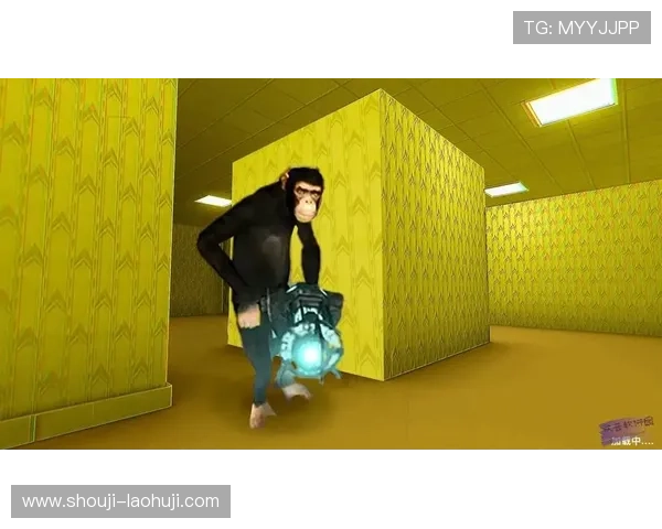 2024年最值得尝试的DBG游戏推荐，全面解析游戏特色与玩法亮点